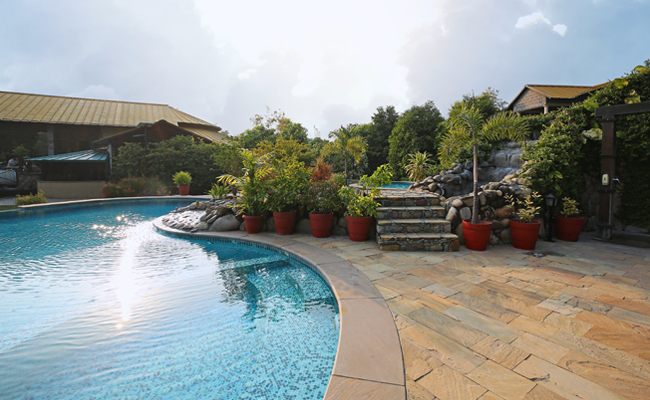 Jungle Resort